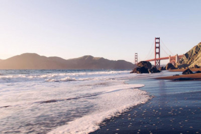 10 misconceptions your boss has about gcmaf probiotic