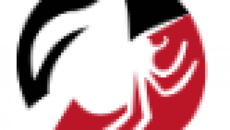 Bees Removal Melbourne