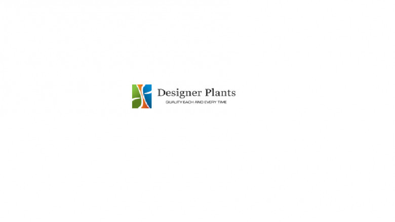 Designer Plants USA - Leaders in Fake Greenery