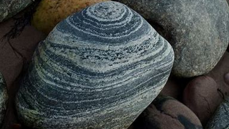 Gneiss Market 2022 Global Trends, Size and Forecast Report to 2028