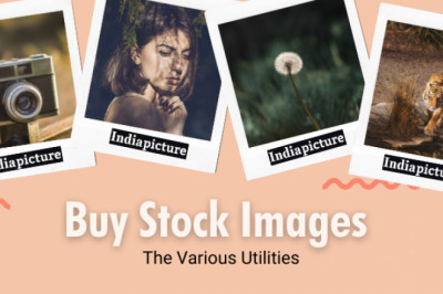 How to Choose the Right License for Business Stock Images
