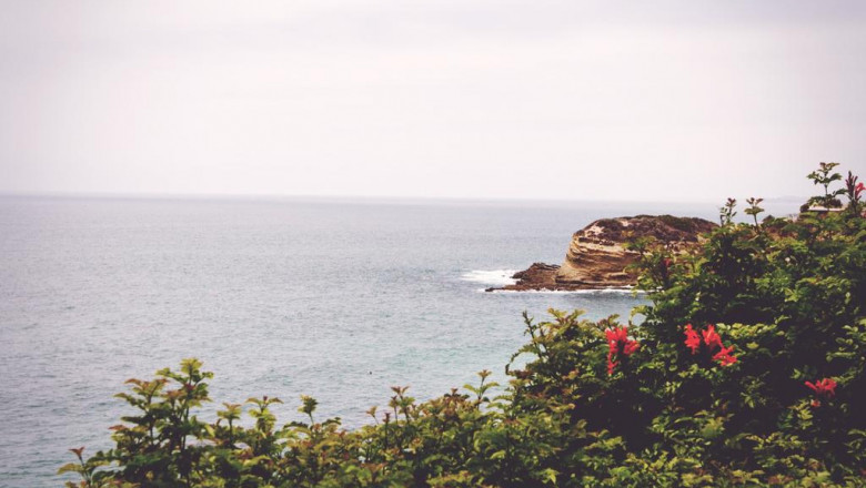 lil luigi review and lighting suggestions ooni pro outdoor pizza oven