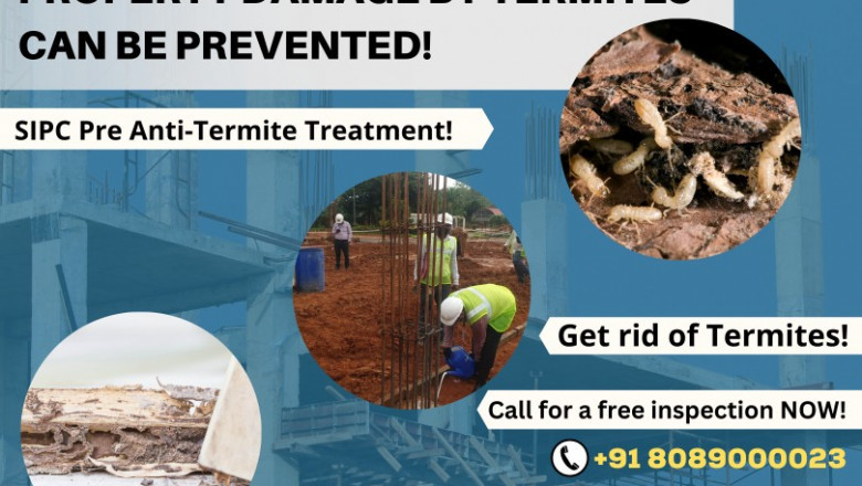Termite Control Service in Bangalore