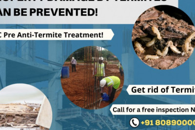 Termite Control Service in Bangalore