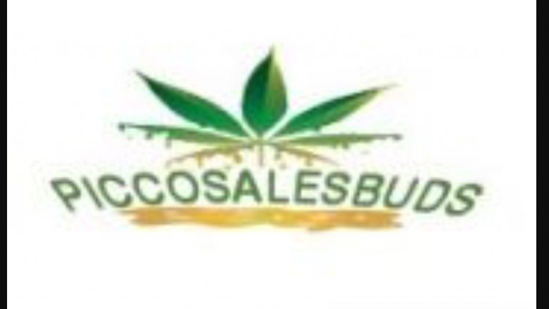 Tips to Choose the best CBD Oil