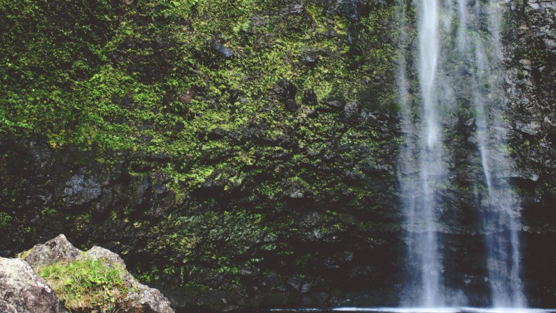 using advertising to build a fulltime income