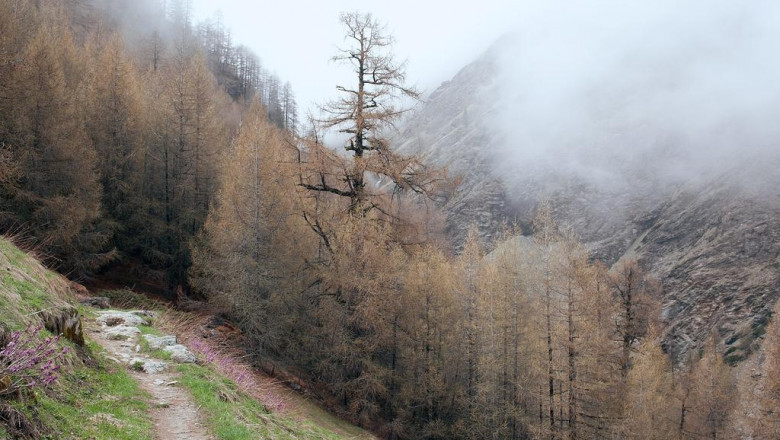 eco roofing roofing contractor near you roofing london ontario