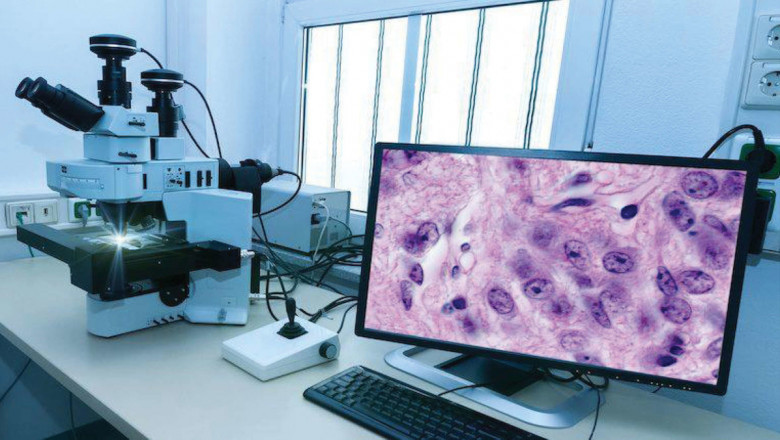 Digital Pathology Recognize That This Is Not Always As Simple As It Appears