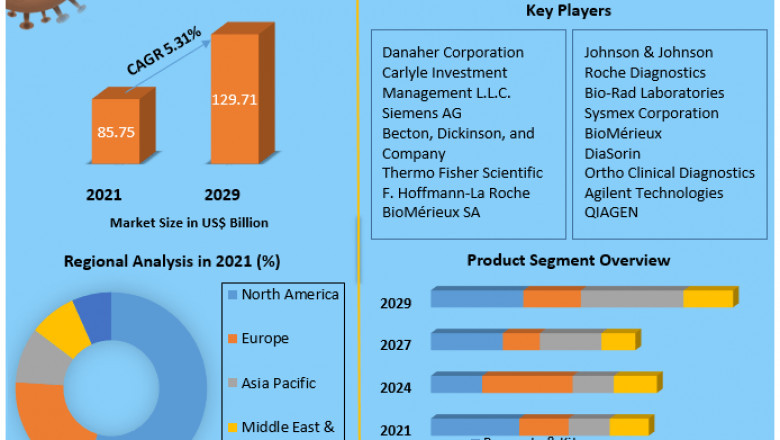 In-Vitro Diagnostics Market Global Production, Growth, Share, Demand and Applications Forecast to 2029
