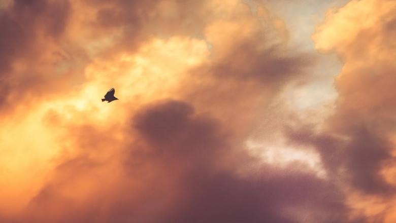 top four marketing recommendations for building a professional practice