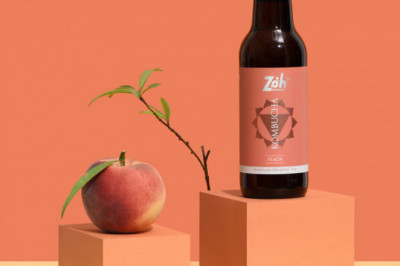 Best And Top Kombucha Brands In India