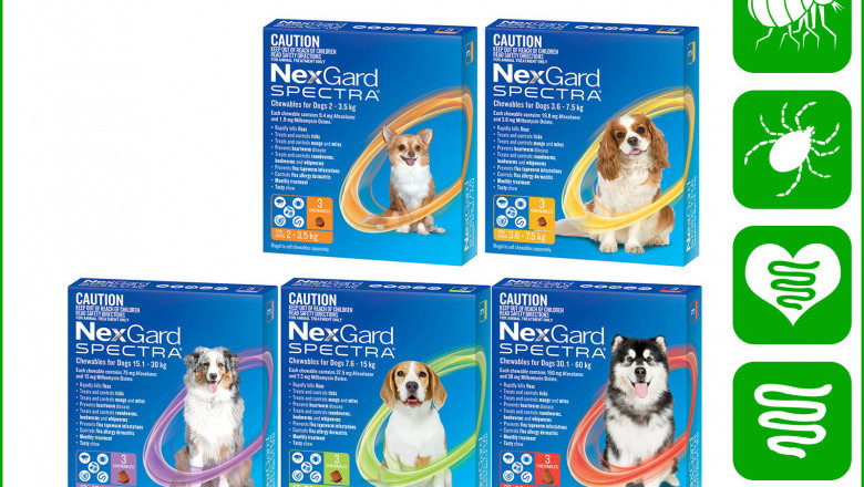NEXGARD SPECTRA for Dogs Flea Worm Treatment 3 Chews
