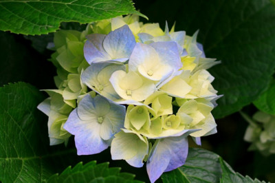 7 Tips To Help You Write a Perfect Essay in Under 2 Hours