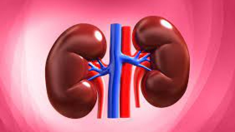 Best Kidney Transplant Surgeon In India: Everything You Need To Know About Kidney Transplant Surgery