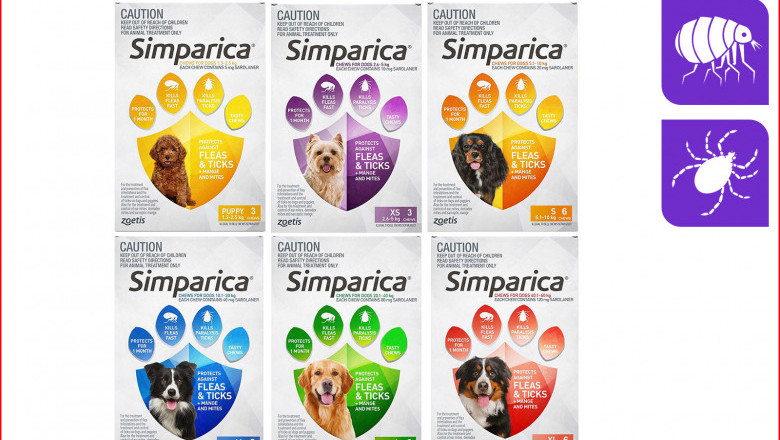 SIMPARICA Flea and Tick treatment 6 Chews for Dogs