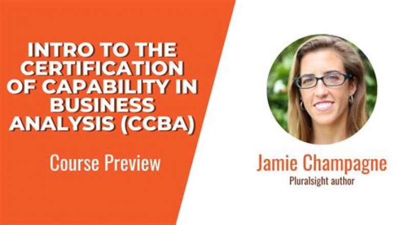 Valid CCBA Test Review & CCBA Reliable Exam Labs - CCBA Reliable Test Test