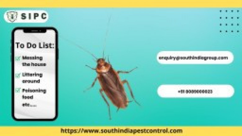 Cockroach Treatment Bangalore