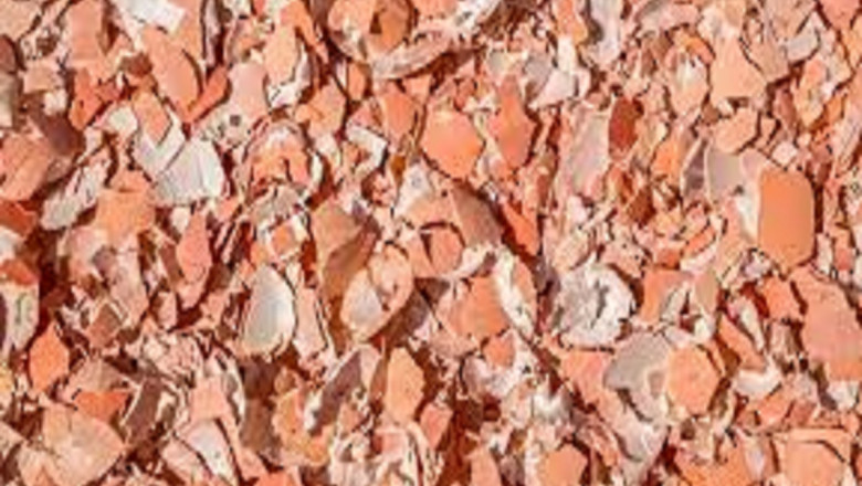 Eggshell Membrane Powder Market Size, Key Players Analysis And Forecast To 2028 | Value Market Research