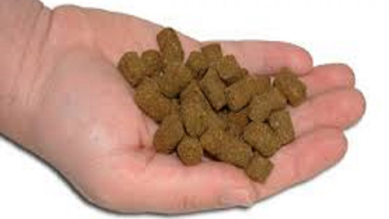 Fish Protein Concentrate Market Size, Status, Growth | Industry Analysis Report 2020-2028