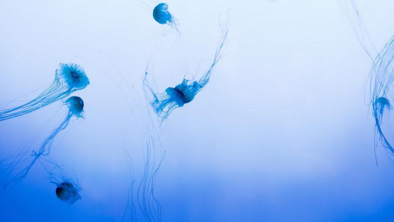 how to master baseball jersey aliexpress reviews cheap in 6 simple steps