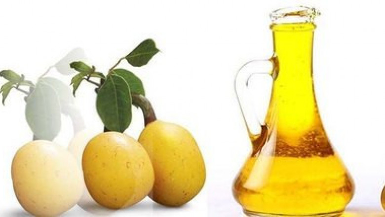 Marula Oil Market Insight | Outlook | Growth Analysis Report 2022-2028