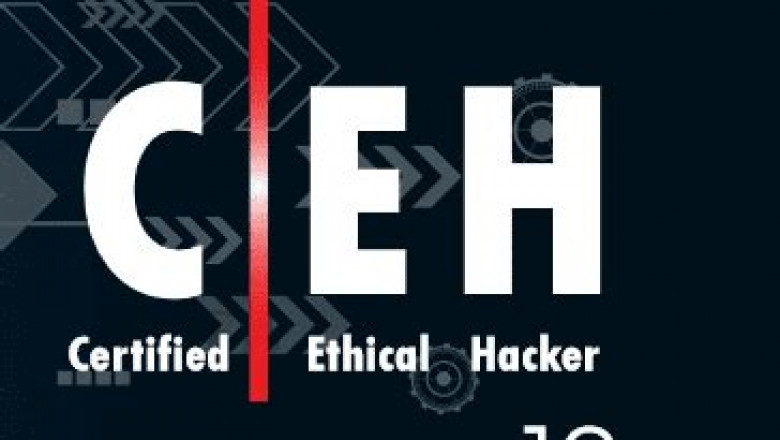 312-50v10 Latest Exam Simulator &amp; Training 312-50v10 For Exam - 312-50v10 Valid Test Experience