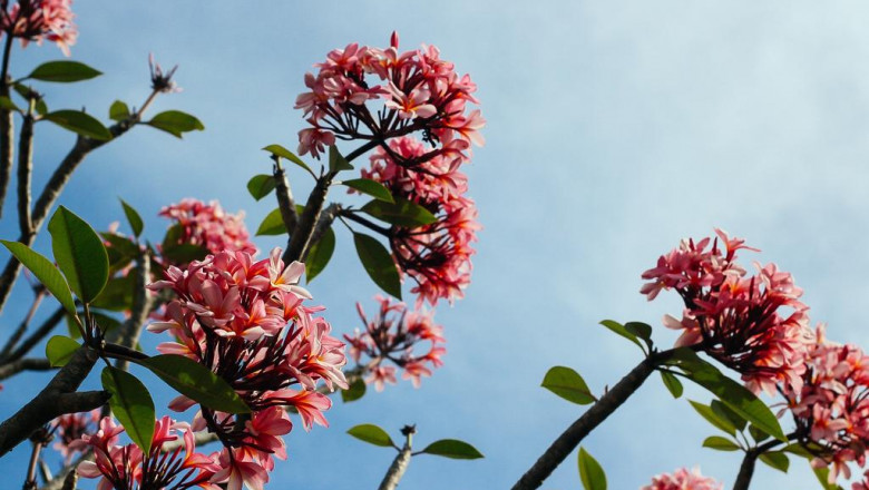 5 tips to help you choose the right custom builder for your property