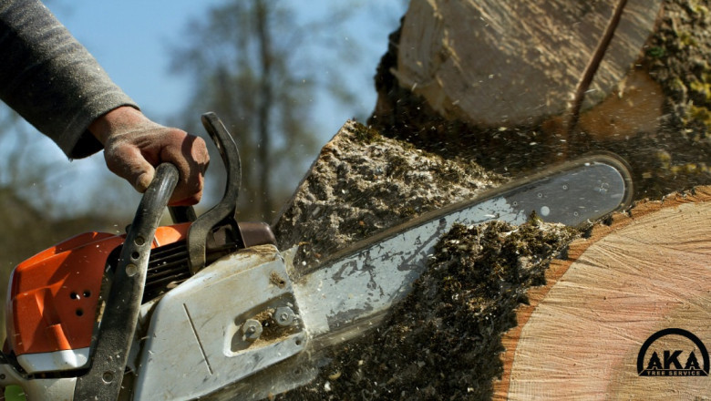 AKA Tree Service: Offering Exceptional Tree Removal And Tree Trimming Services