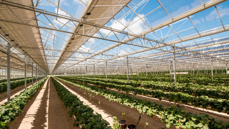 Flourishing Growth of the Brazil Agrivoltaics Market from 2022 to 2027