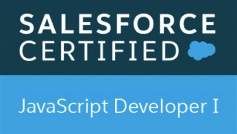 JavaScript-Developer-I Actual Exams - JavaScript-Developer-I Authentic Exam Hub, Valid JavaScript-Developer-I Test Camp