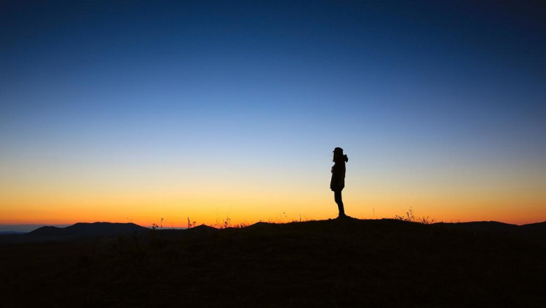 n495 wellness assessment component 3 and 4 job