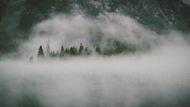 the no 1 question everyone working in best vastu consultant in noida should know how to answer