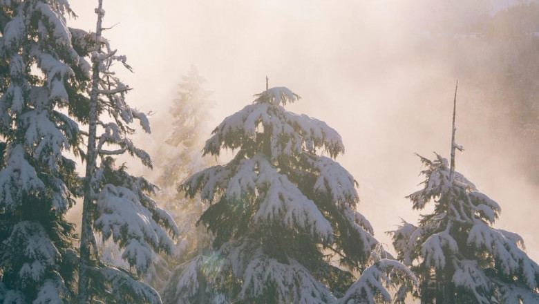 ways teaching you how to pack for your move in miami housing market