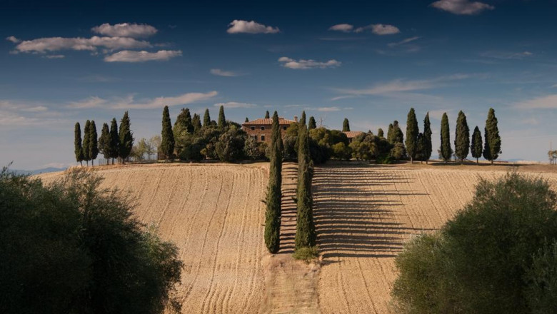 why the actual doesnt i would love you to buy at sheriffs auctions