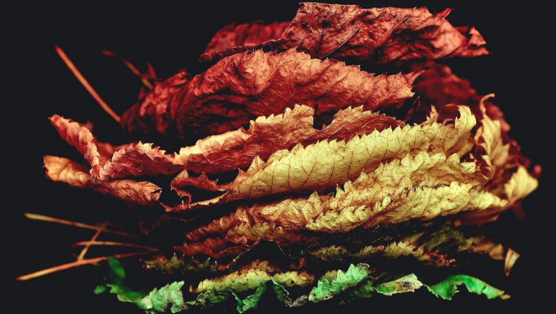 cpr aed coaching aed trainers