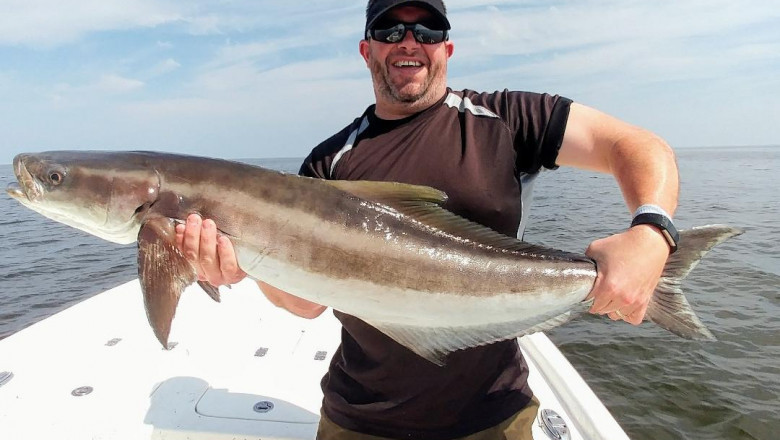 Crystal River charter boat