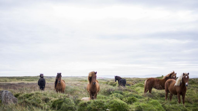 roofing financing roof repairs replacement roofing contractor london ontario