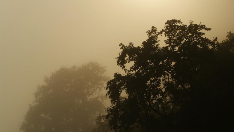 15 best striped bass fishing for beginners bloggers you need to follow