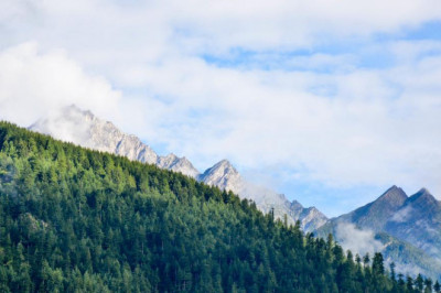 hints and tips to formulate your small garden