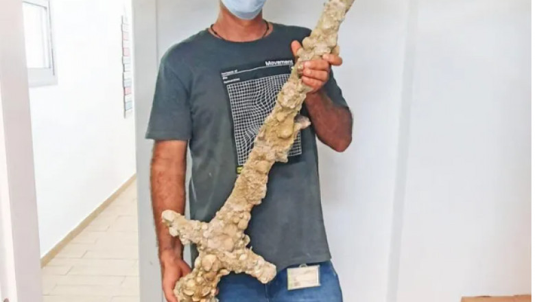 900 Year Old Crusader Sword Just Lying on the Sea Floor