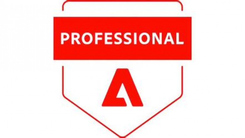 Adobe AD0-E313 Test Dumps.zip, AD0-E313 Valid Exam Online | AD0-E313 Online Bootcamps