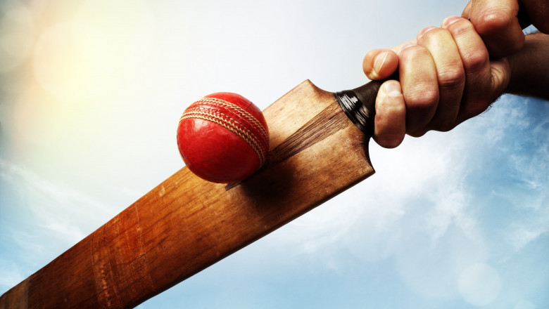 Best Cricket ID Providers in India