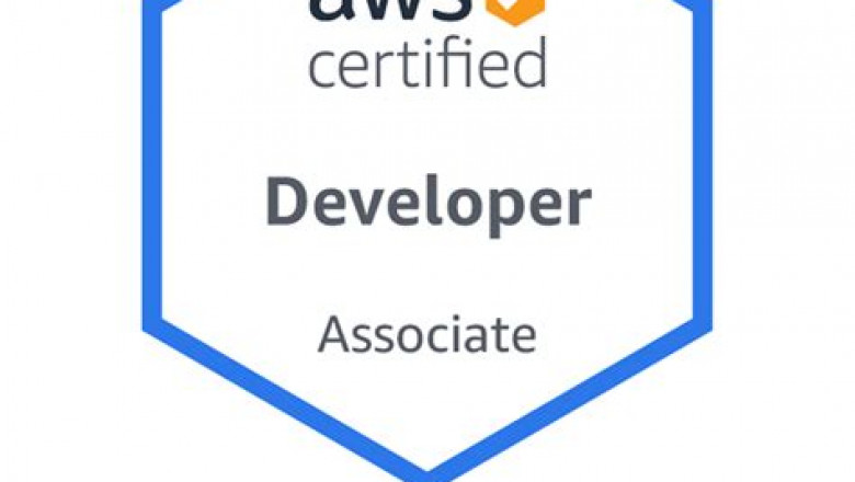 DVA-C01 Practice Mock, Latest DVA-C01 Exam Book | DVA-C01 Valid Exam Question