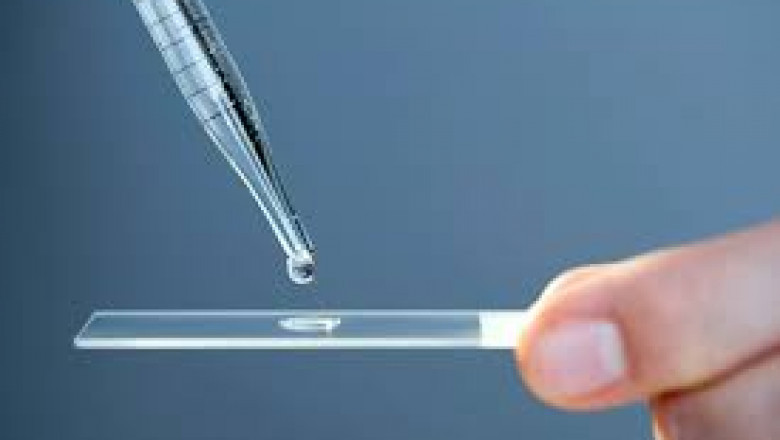 Global Microscope Slide Market | Revolutionary Opportunities, Growth Prospects 2031