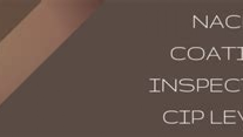 NACE-CIP1-001 Test Simulator Fee - Exam NACE-CIP1-001 Voucher, New NACE-CIP1-001 Dumps Questions