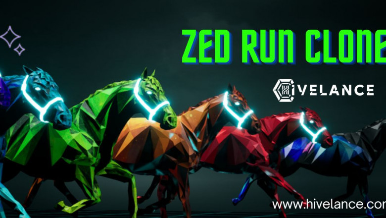 Zed Run Clone Software development