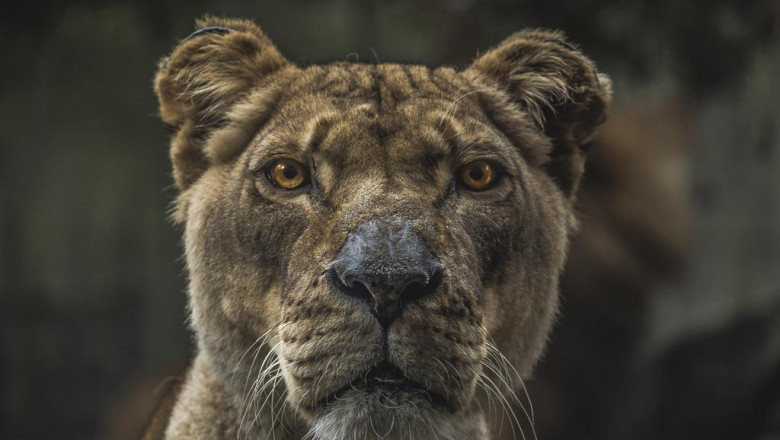 20 things you should know about nature