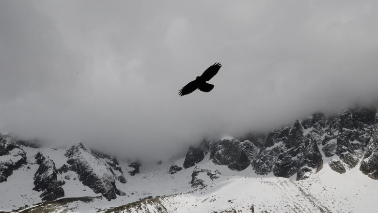 24 hours to improving divorce