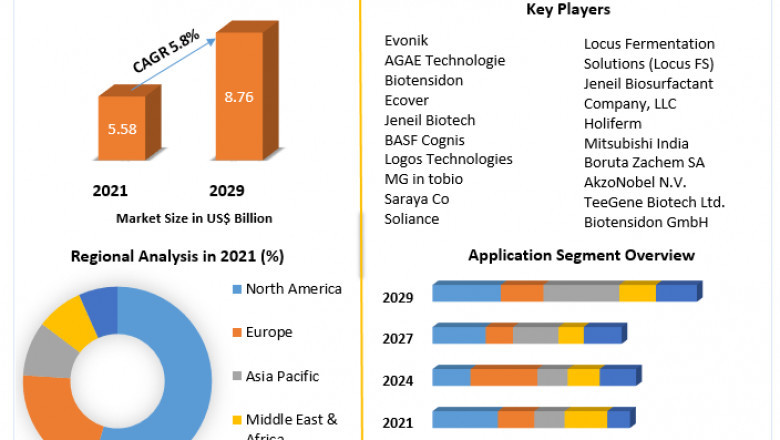 Biosurfactants Market Size, Share, Industry Forecast Analysis Report 2029