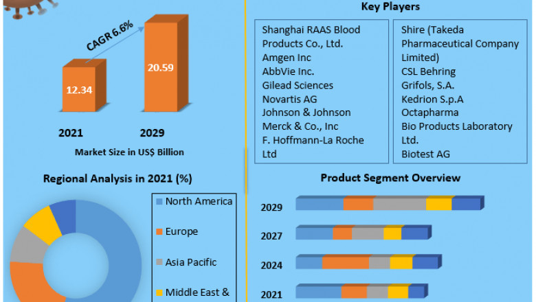 Immunoglobulins Market Challenges and Opportunities for Stakeholders Focus on Growth Strategies up to 2029